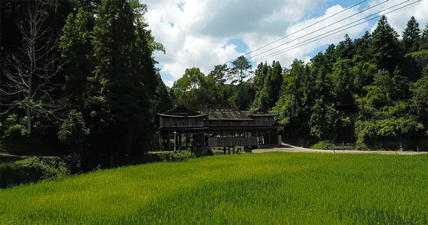 baea6a4159f5c44ea1274151c5a21a81.gif